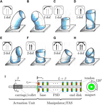 FAS—A Fully Actuated Segment for Tendon-Driven Continuum Robots